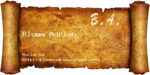 Blumm Adrián névjegykártya